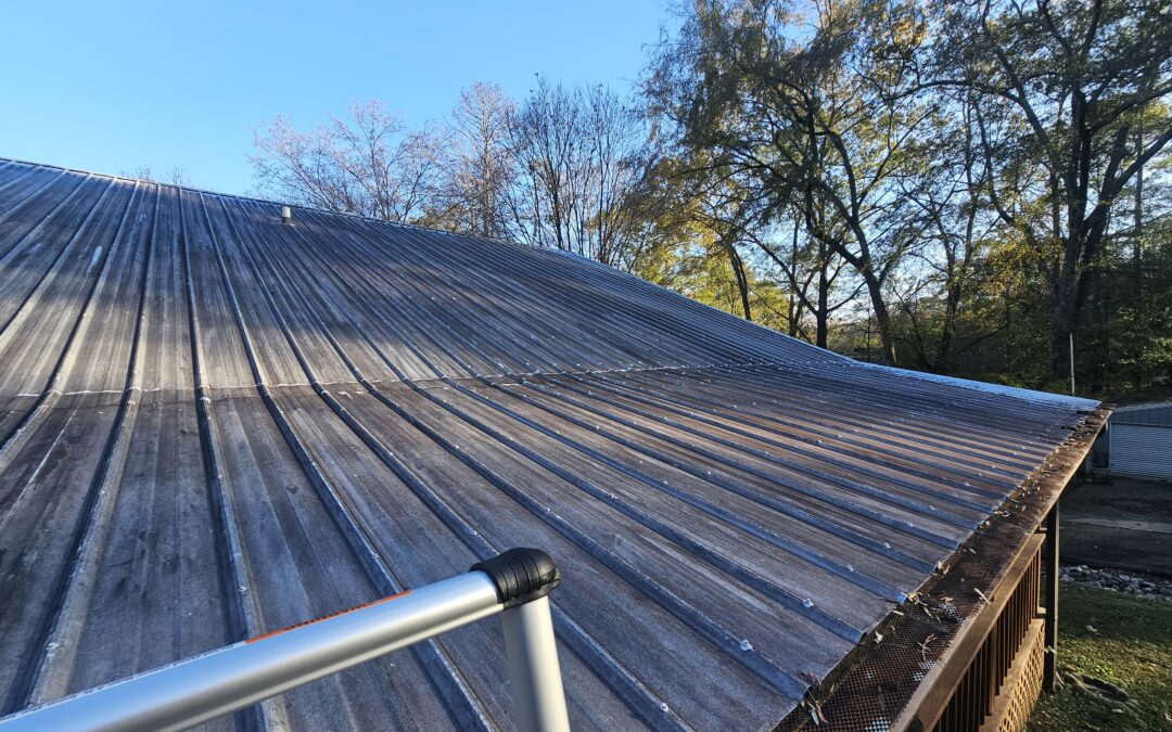 How to Spot Roof Damage Before It Spreads: A Homeowner’s Guide for Decatur, AL